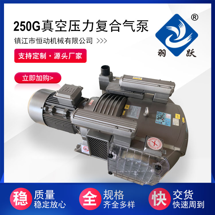 250G真空壓力復合氣泵